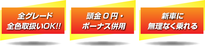 頭金0円、ボーナス併用