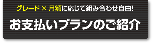 お支払いプランのご紹介